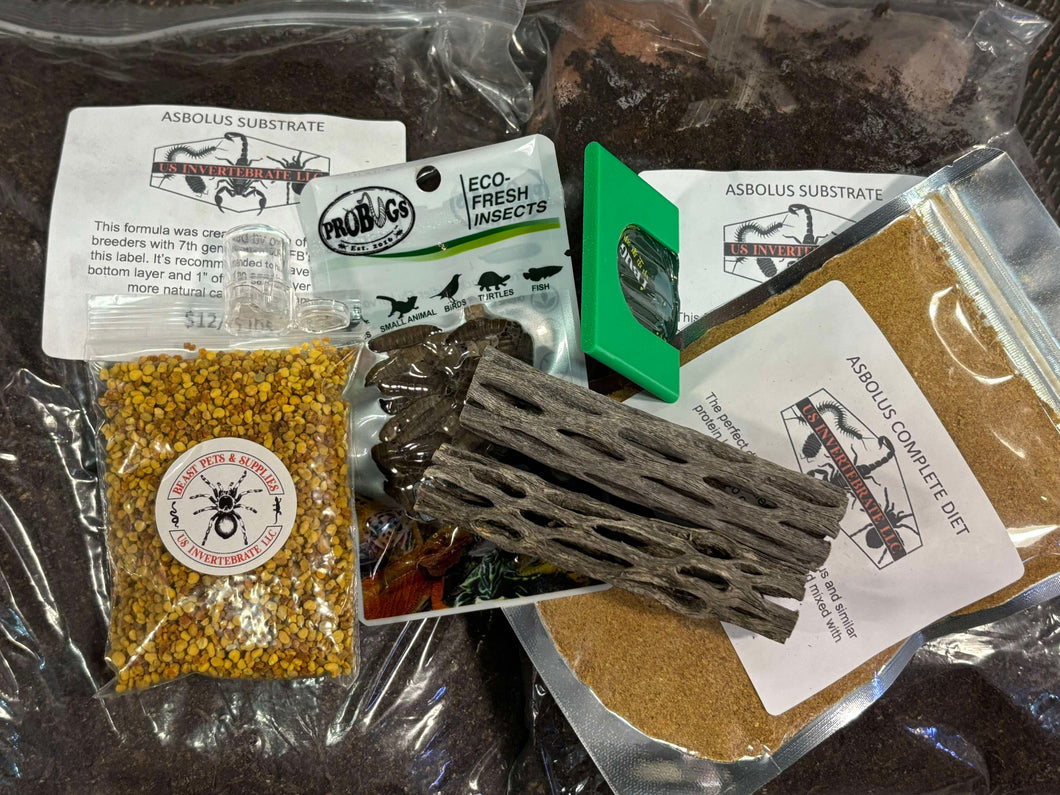 Blue Death Feigning Beetle Kit