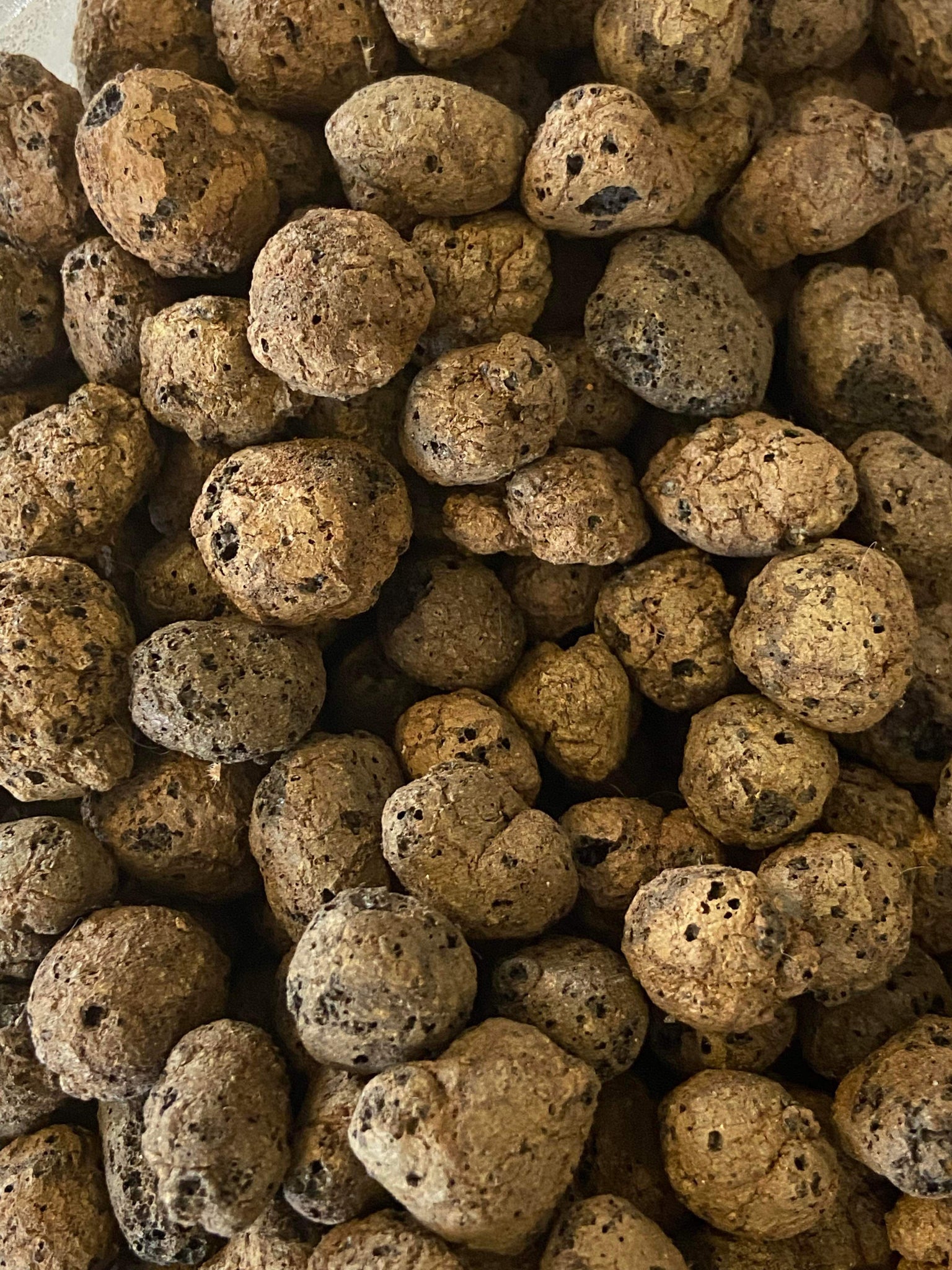 Bio Clay Pebbles 3 lbs – US Invertebrate LLC
